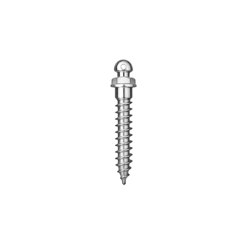 Matt Ortho Implant Mini Screw Mushroom Button Head Titanium Grade 5 - ⌀2 mm x 12 mm