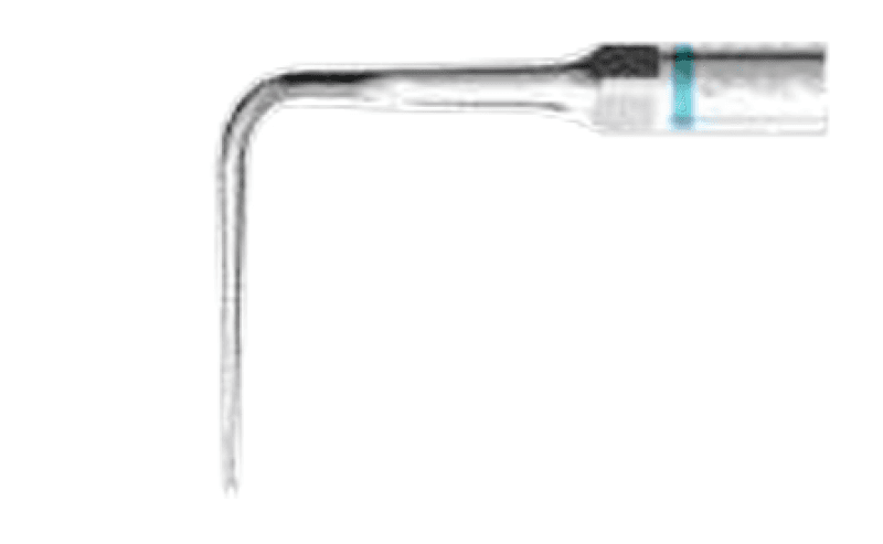 P50L - S Tip