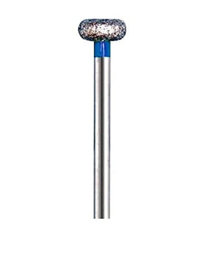 Diamond Burs Stone WR-13