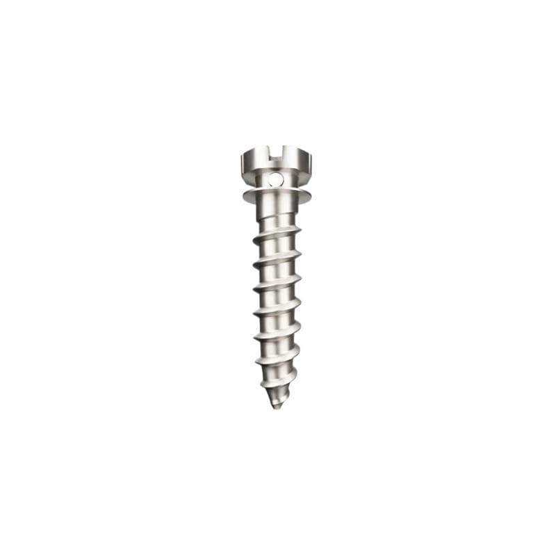 Matt Ortho Implant Mini Screw With Bracket Head Titanium Grade 5 - ⌀1.6 x 10 mm