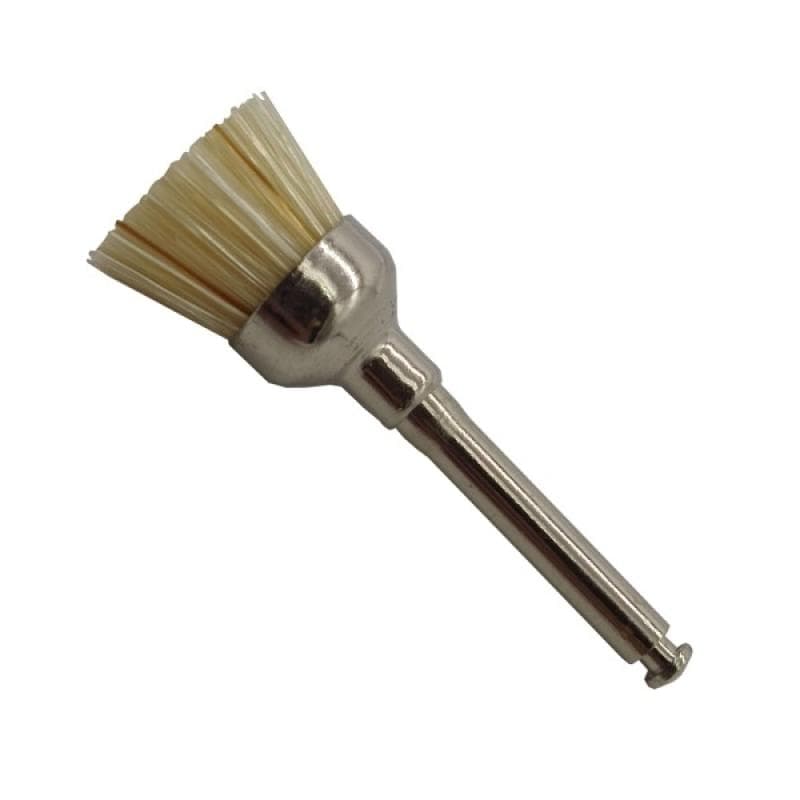 Bristle Prophy Brushes