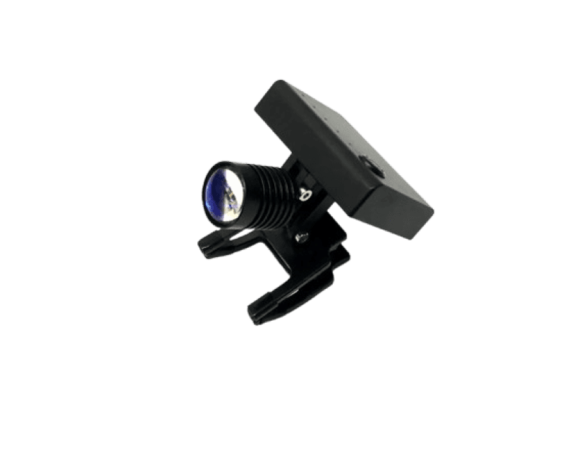Rose Wireless Light